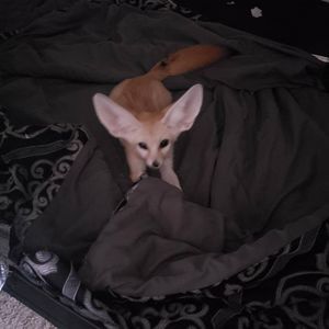 Meet your Posher, Andy